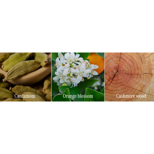 Sign Deodorant Stick