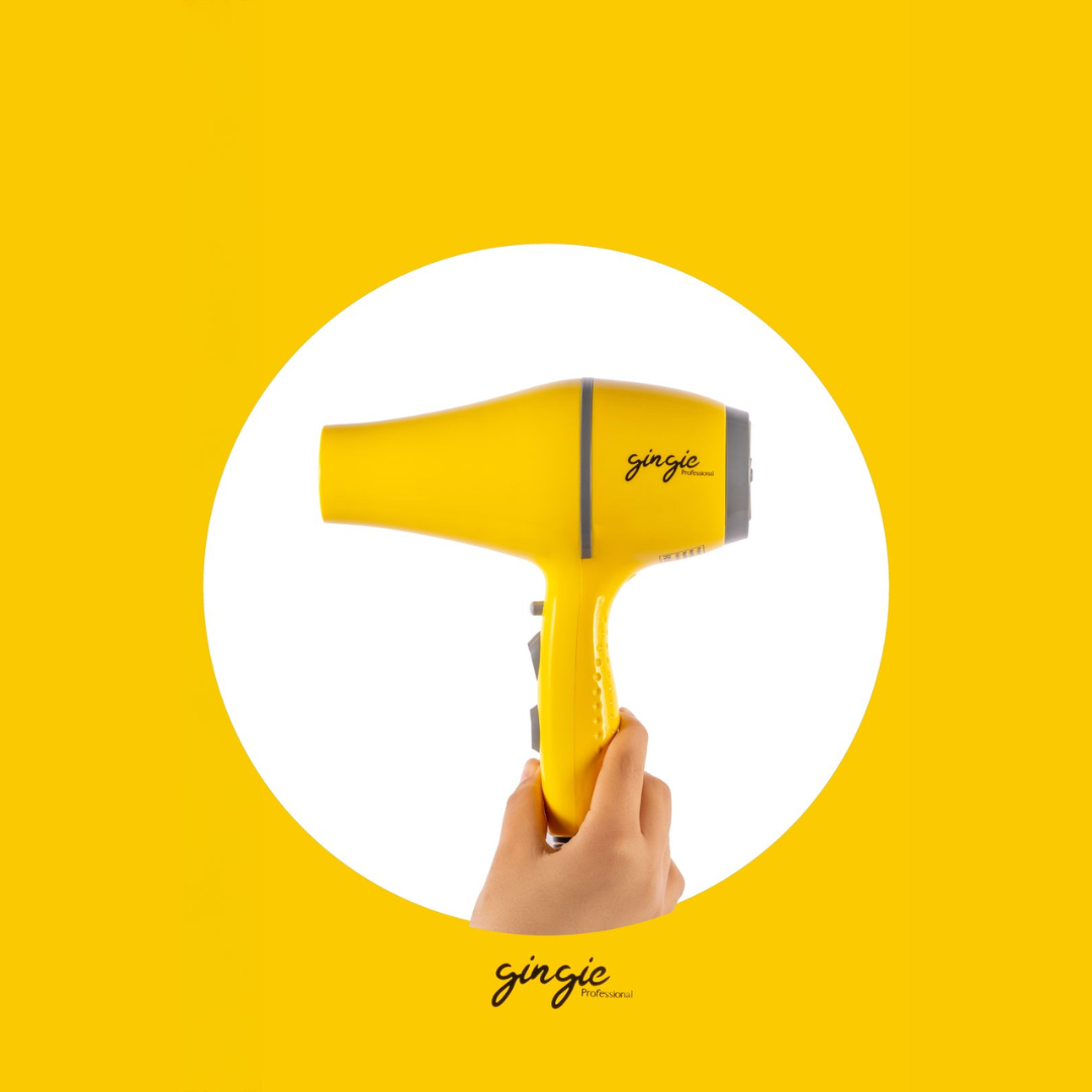 Gingie Rapido Hair Dryer 3000W