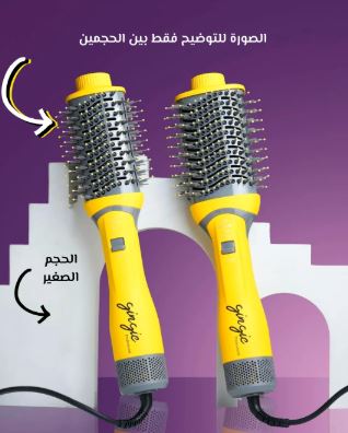 Gingie The Quickie Volumizer And Hair Dryer