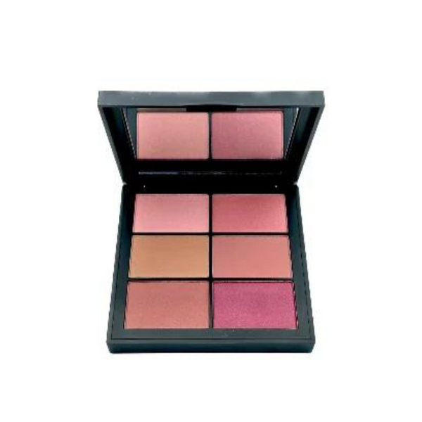 Make Up Factory لوحة بلاش Artist